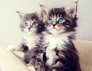 重慶精密鈑金加工廠成本解析