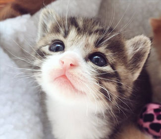 非標(biāo)鈑金的發(fā)展