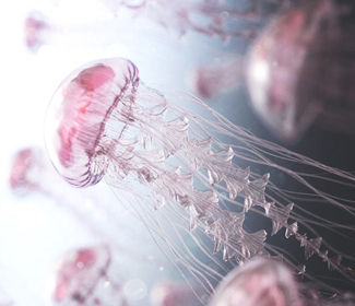 精密醫(yī)療鈑金加工的難點